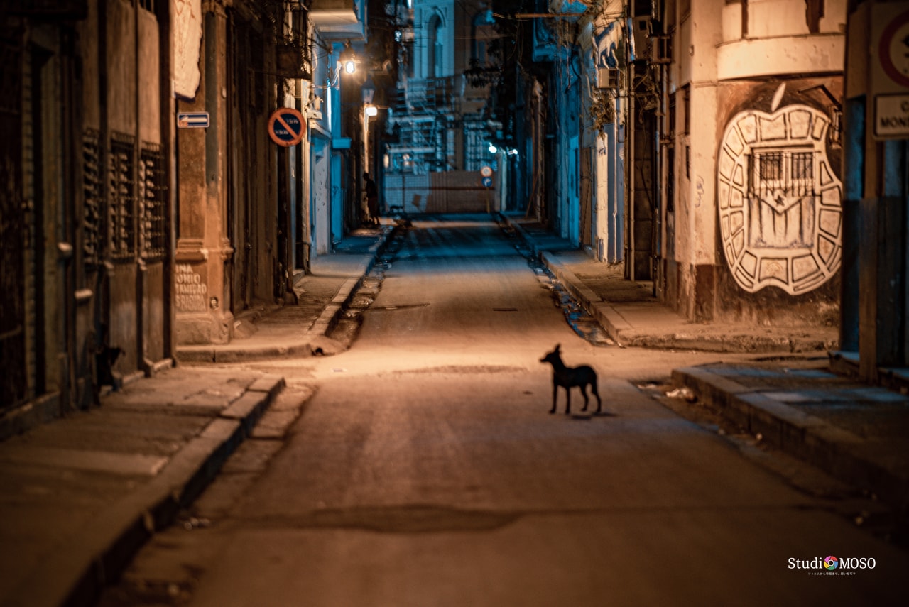夜のハバナ旧市街到着風景