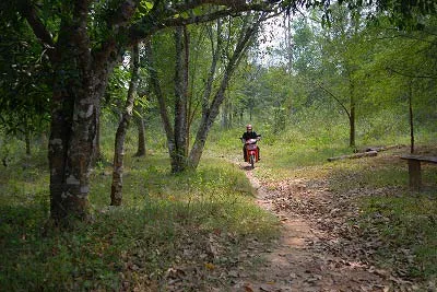 バイクツーリング