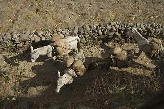 ヒマラヤの眺め