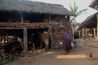 家畜小屋の寝室