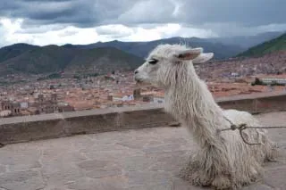 クスコのアルマス広場