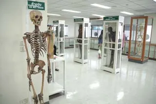 シリアート病院前