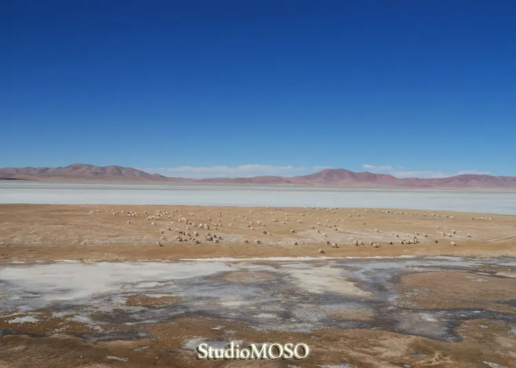 青海鉄道の車窓