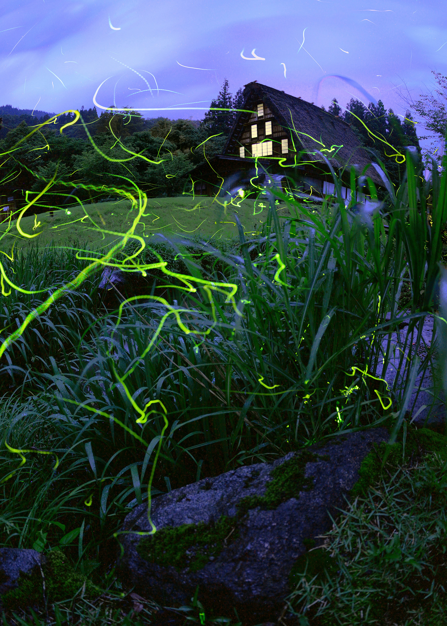 白川郷 合掌家屋とホタルの共演 観光写真業務委託